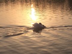 秦岭野生动物园-西安秦岭野生动物园