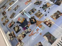 -babydoll猫舍·米努特·德文·缅因(久光中心店)