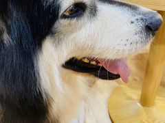 -白兔子密室(长寿路店)