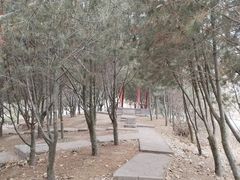 -石刻园