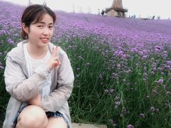 -大塘金香草谷
