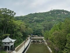 -白水寺森林公园