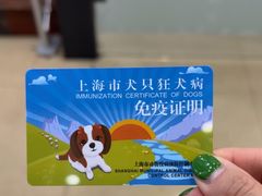 -瑞派天使宠物医院·神经外科·骨科·核磁(洛川中路店)