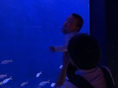 -沈阳海洋探索中心