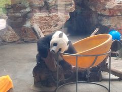 -石家庄市动物园