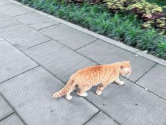 -成都杜甫草堂博物馆