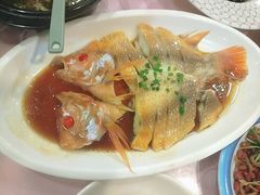 -上海和平饭店龙凤厅 Dragon Phoenix