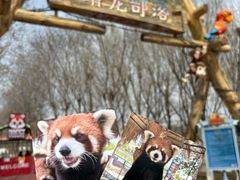 -水上乐园·欢乐世界