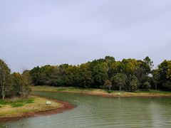 -上海海湾国家森林公园