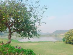 -风云岭森林公园