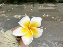 -三亚湾红树林度假世界(木棉酒店)