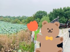 -东湖落雁景区