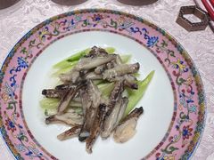 -新光酒家·河豚·海鲜·蟹料理(浦东店)
