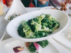 -云中小雅