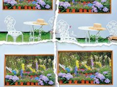 -名花谷生态庄园