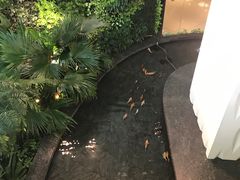 -贾特拉帕蒂·希瓦吉国际机场