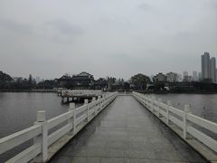 -武汉动物园