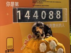 -福田卓悦INTOWN购物中心