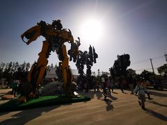 -上海长兴岛郊野公园