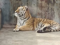 -鄂尔多斯野生动物园