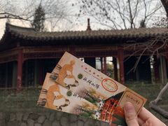 -碑林公园