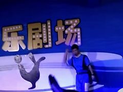 -南昌海洋公园