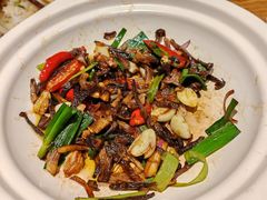 -鸽子窝(黄村店)