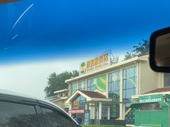 -窦店服务区-停车场