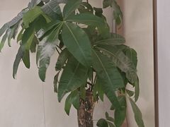 -李先生牛肉面大王(华联商厦店)