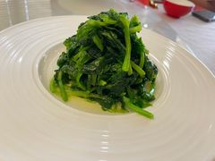 清炒豆苗-鼎泰丰(渔阳店)