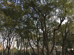 -鲁迅公园