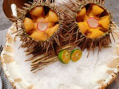 马粪海胆-月下料理(楷林IFC店)