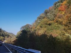 -秦岭风景区