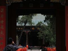 -关林