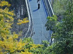 -福道