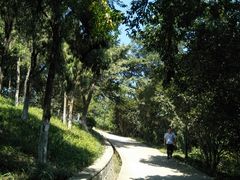-太子山公园(园东路)