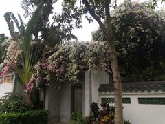 -深圳国际园林花卉博览园