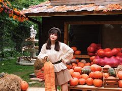 -HERRE·FARM 赫尔露营农场·团建聚会包场