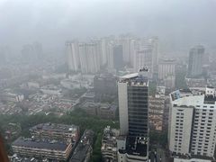 -上海波特曼丽思卡尔顿酒店