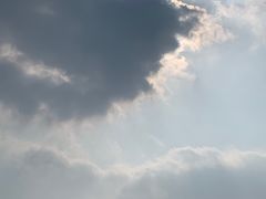 -武清南湖绿博园