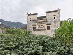 -黟县屏山村