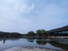 -上海佘山世茂艾美酒店