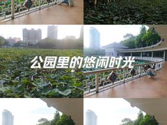 -荔湾湖公园