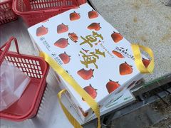 -大自然农场蔬菜草莓采摘园