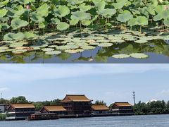 -白洋淀景区