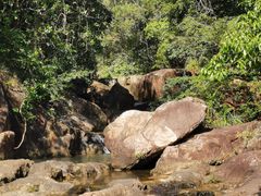 -广州白江湖森林公园