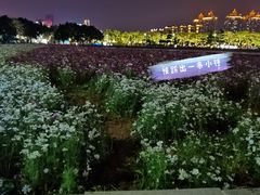 -海心沙亚运公园