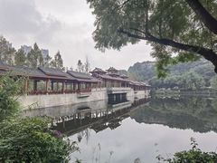 -重庆彩云湖湿地公园