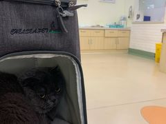 -美联众合动物医院·24h京西诊疗中心