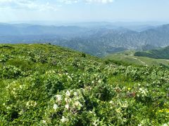 -灵山